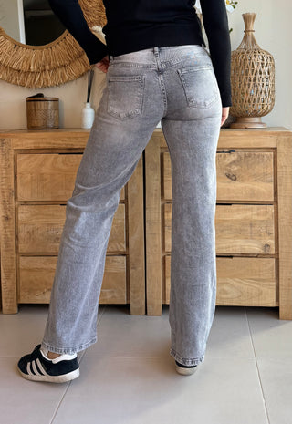 Jeans Tiro Bajo Gris